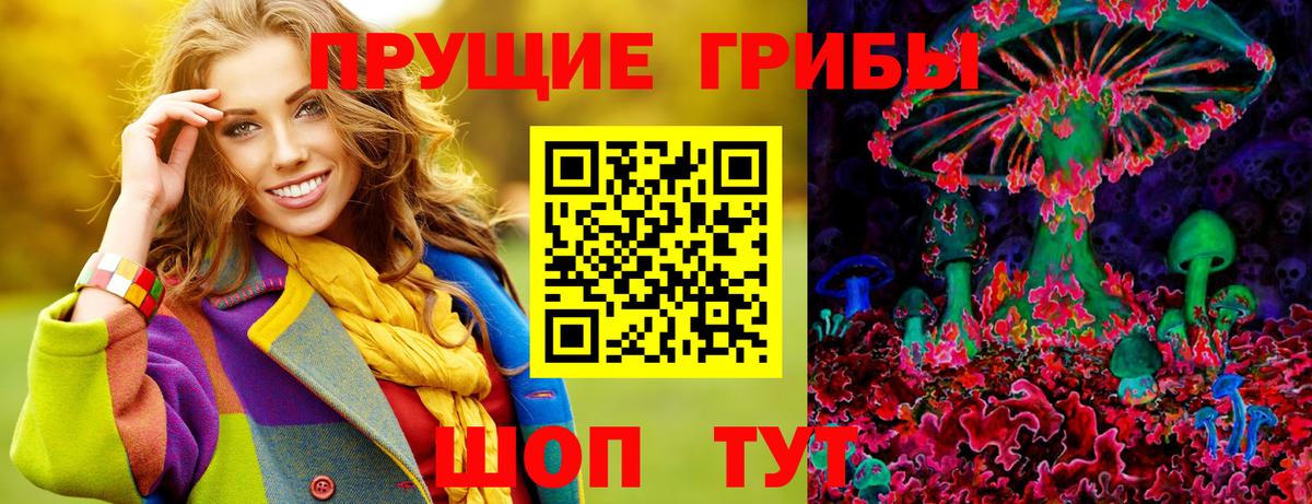 Галлюциногенные грибы Psilocybine cubensis Рыбинск