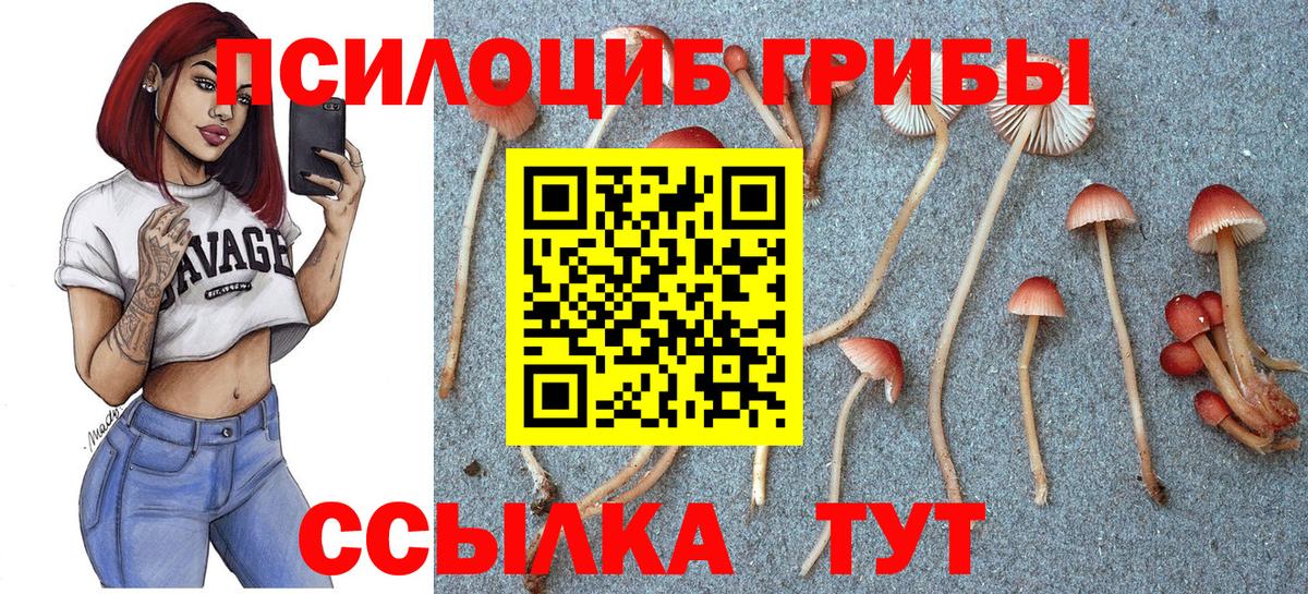 Рыбинск  где можно купить наркотик  Вход с VPN  Галлюциногенные грибы мицелий 